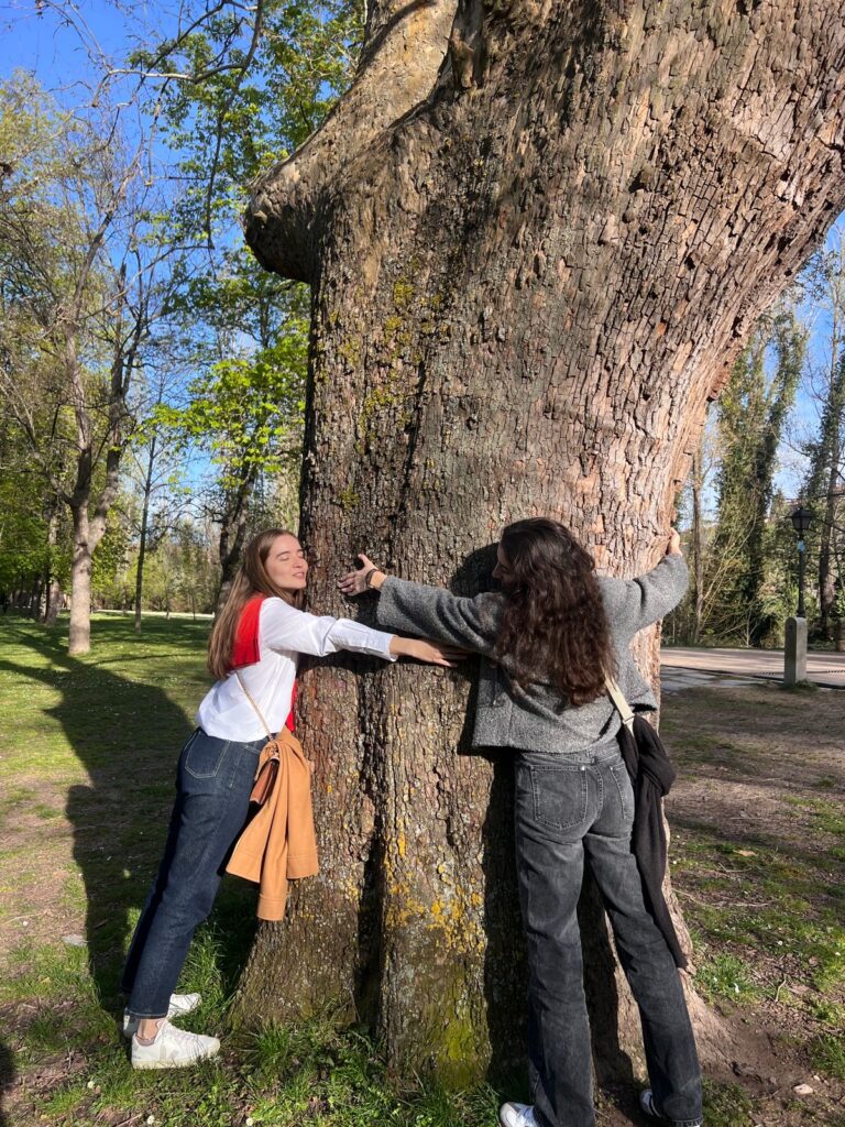 inclusive-hiking-mobility-nature-based-wellbeing