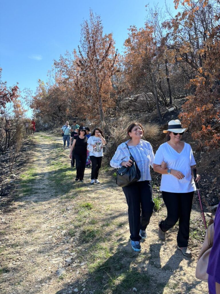 inclusive-hiking-mobility-nature-based-wellbeing